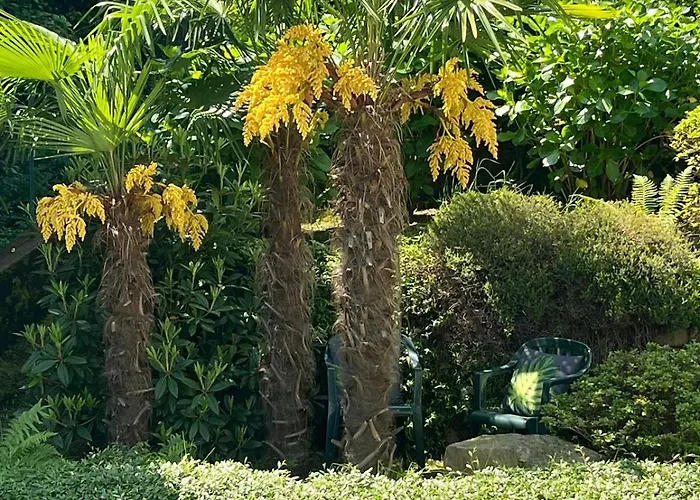 Miralago 公寓